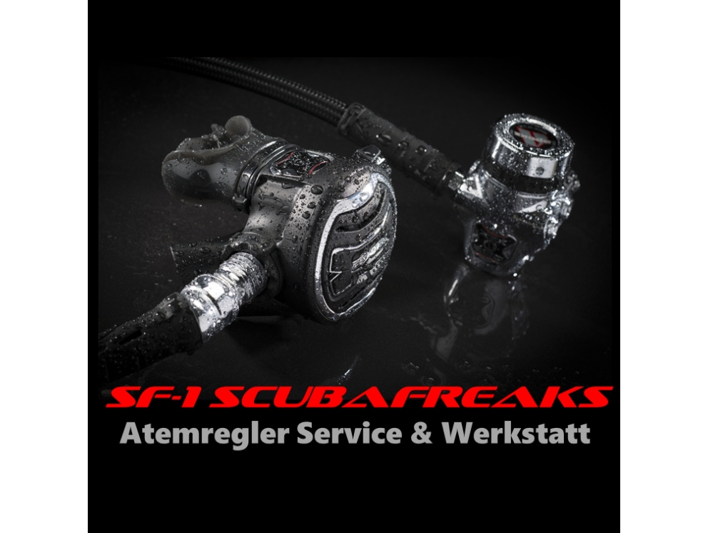 Regulator Service &amp; Maintenance - 