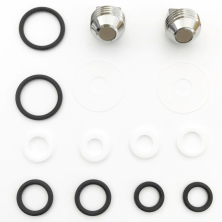 Polaris service kit bridge valve with second outlet Viton o2 clean (without bottle O-ring)